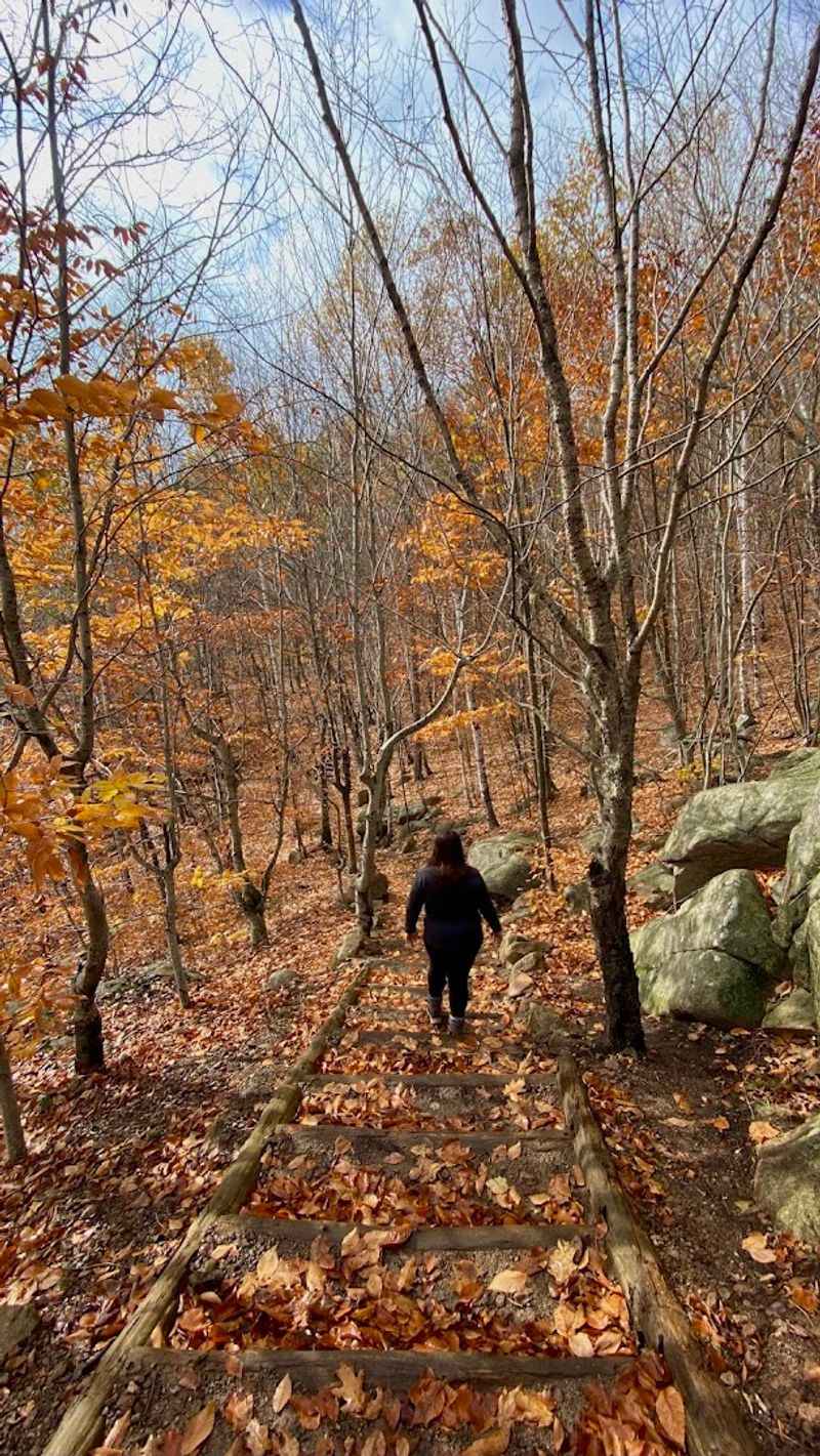 This Breathtaking Maine Trail Is A Must For Any Adventure In The State - Decor Hint What To Expect On The Way Down