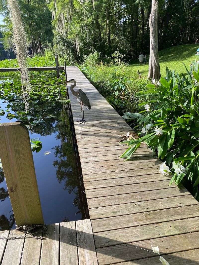 Outdoor Recreation That Keeps You Moving