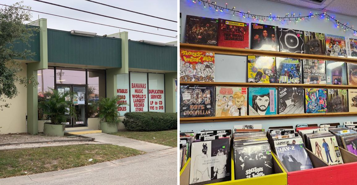 The Huge Florida Music Store With Millions Of Vinyl Records CDs And DVDs - Decor Hint
