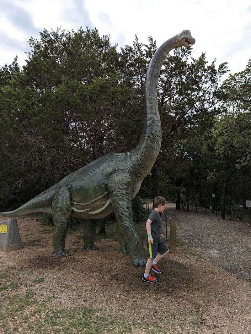 Fossil Digs That Let Kids Unearth Their Own Discoveries