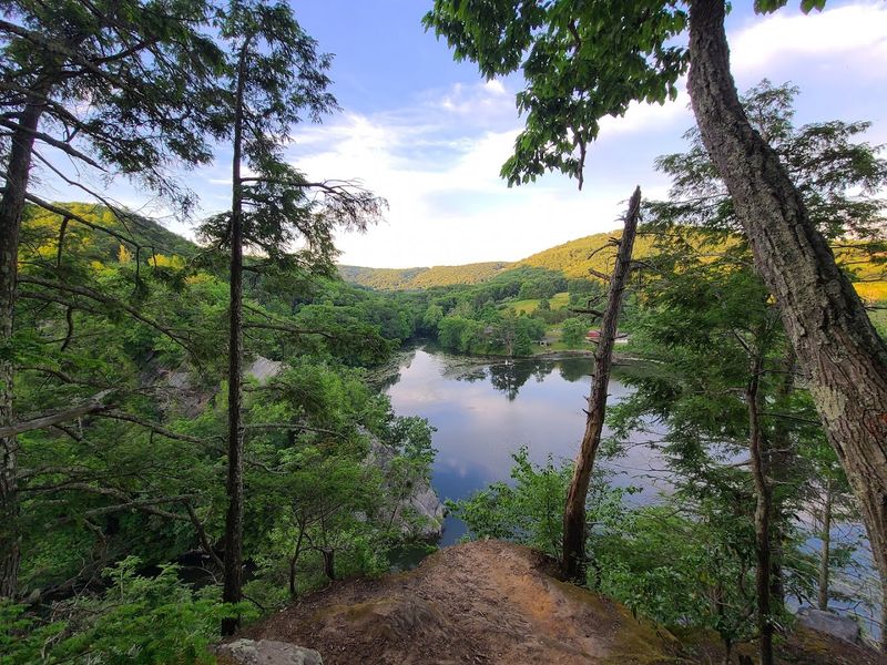 Trail Options For Every Pup Speed