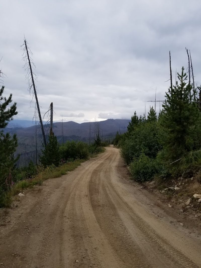 The Idaho Backcountry Road That Climbs Nearly 9,000 Feet And Feels Miles From Everything - Decor Hint Explore This Backcountry Road That Feels Like You’ve Left Everything Behind