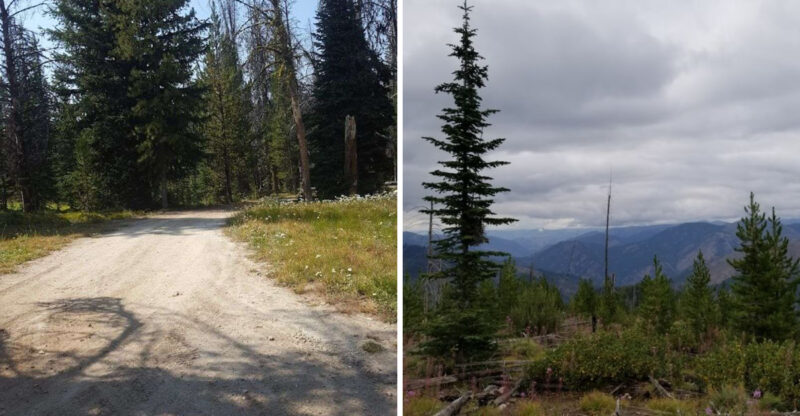 The Idaho Backcountry Road That Climbs Nearly 9,000 Feet And Feels Miles From Everything