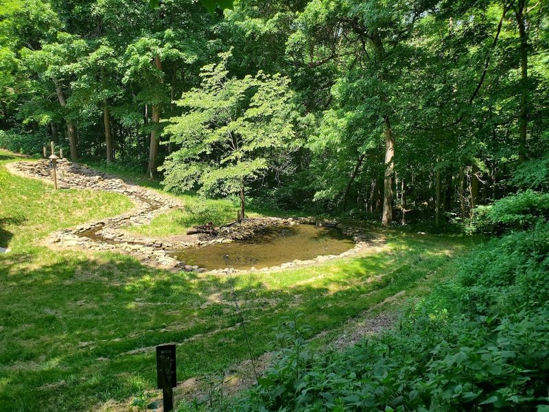 Wildlife Encounters Including Deer, Turtles, And Native Birds