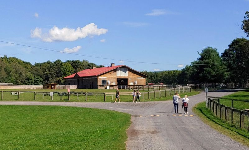 A Safe Haven And An Education Center