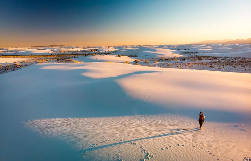 New Mexico's Largest National Park Feels Like Walking Across Another Planet - Decor Hint Wildlife That Has Mastered The Art Of Camouflage