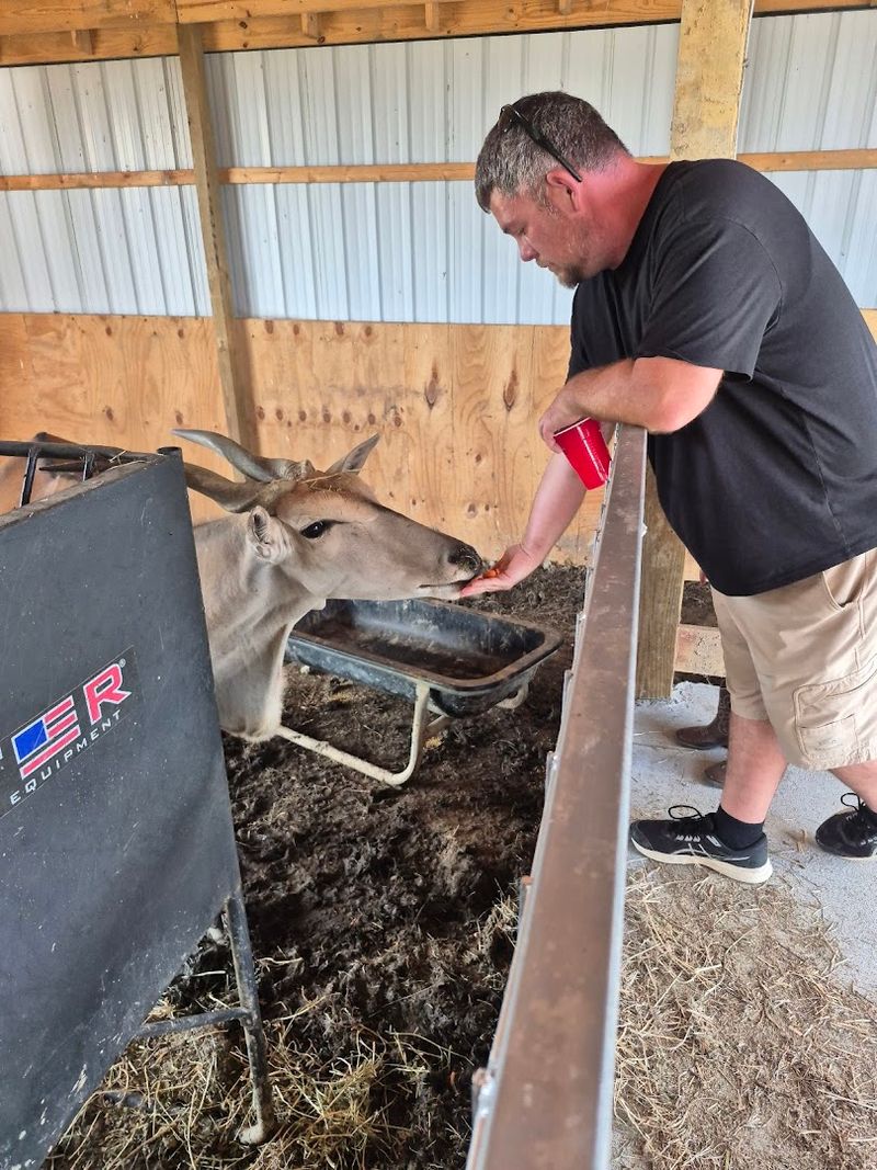 Hand-Feeding Animals You Have Only Seen On TV