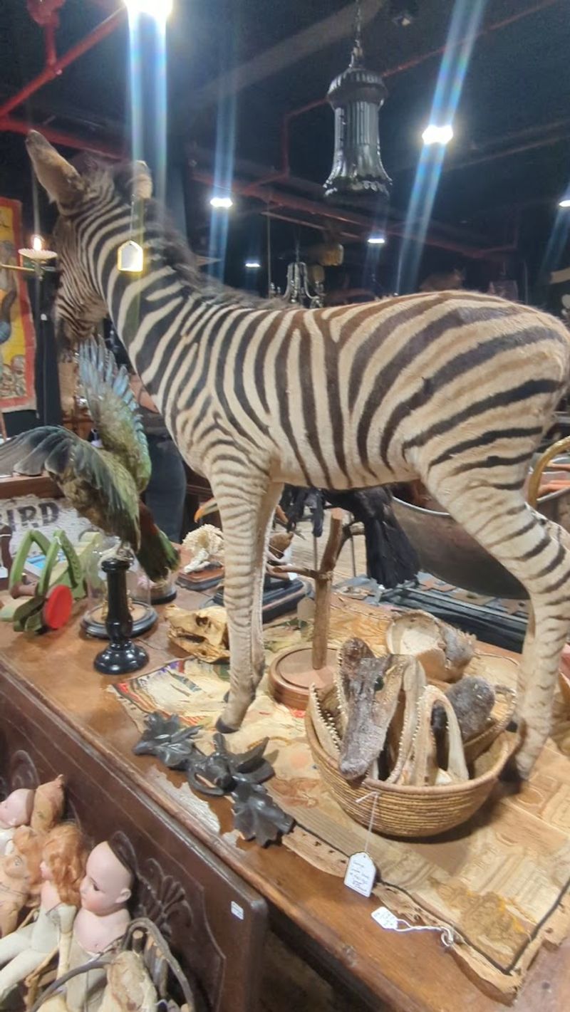 A Connecticut Antique Shop With The Kind Of Odd Finds You Won't See Anywhere Else - Decor Hint Rare Objects With Big Personality