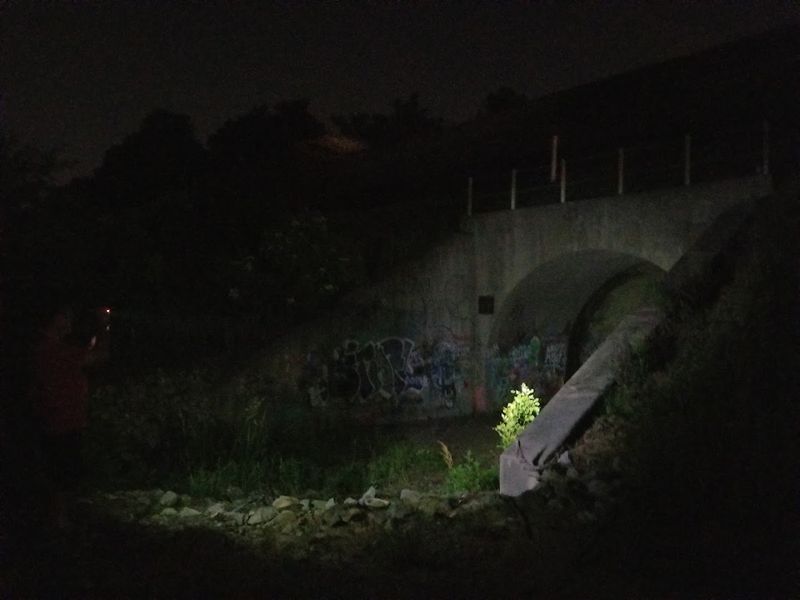The Mysterious Bridge In North Carolina You Shouldn't Visit After Dark - Decor Hint Rainy Nights Give The Legend Its Spookiest Detail