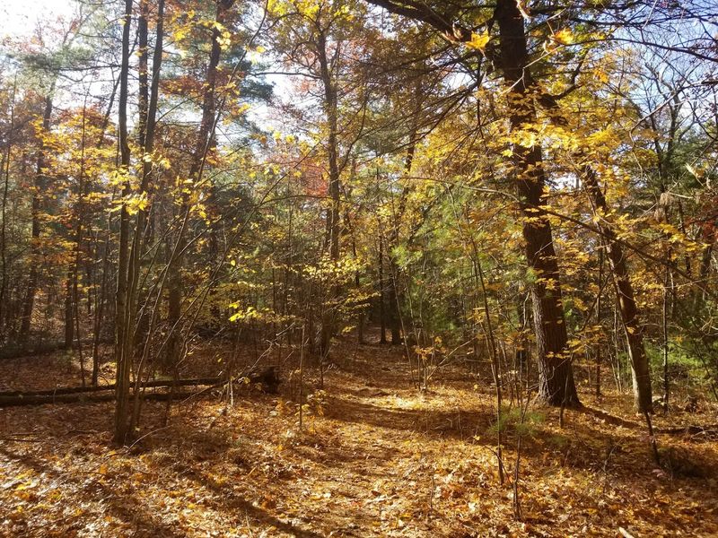 Fall Colors That Stop You Cold