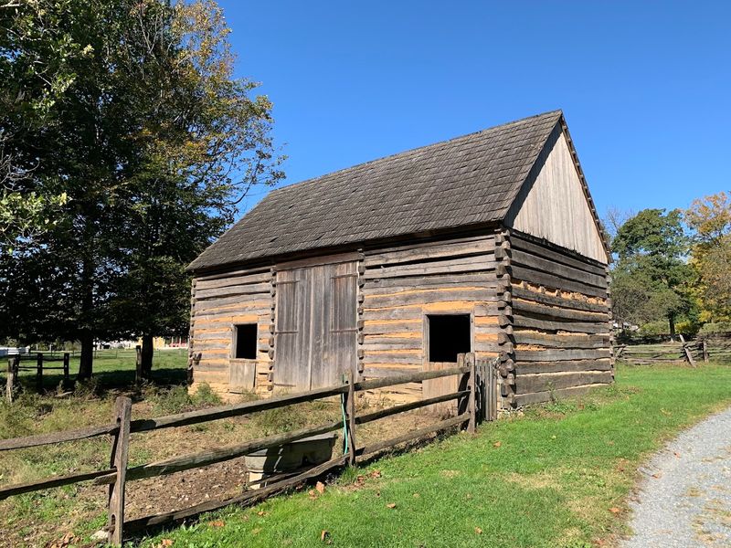 The Farmstead Buildings And Animal Life