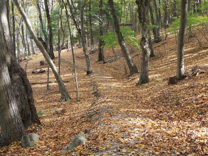 The Beauty Along This Virginia Lake Trail Makes The Whole Outing Worthwhile - Decor Hint Fall Foliage, The Season That Transforms Everything