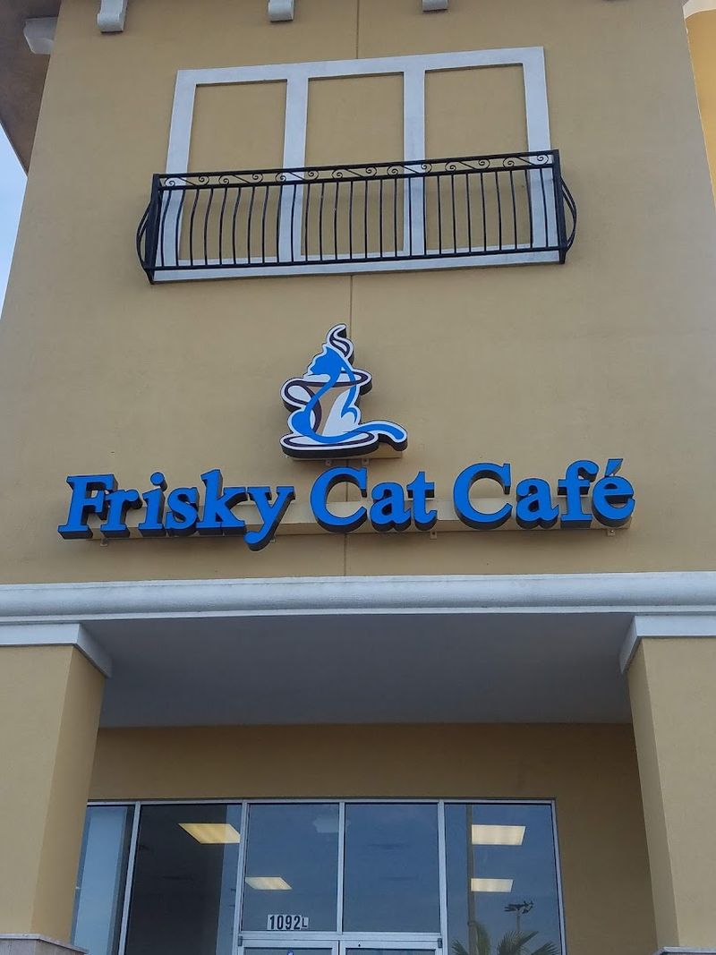 Welcome To The Purrr-fect Place