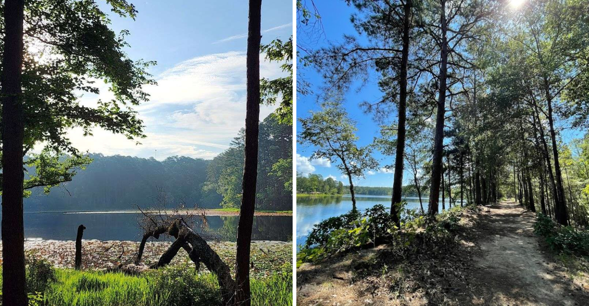 The Low Profile Texas State Park Thats All Trails Woods And Zero Crowds - Decor Hint