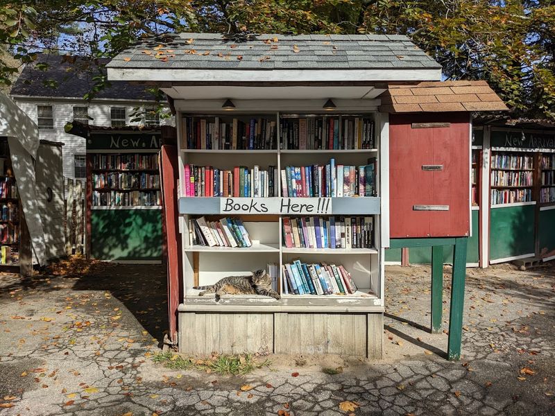 Best For Readers Who Love Surprises