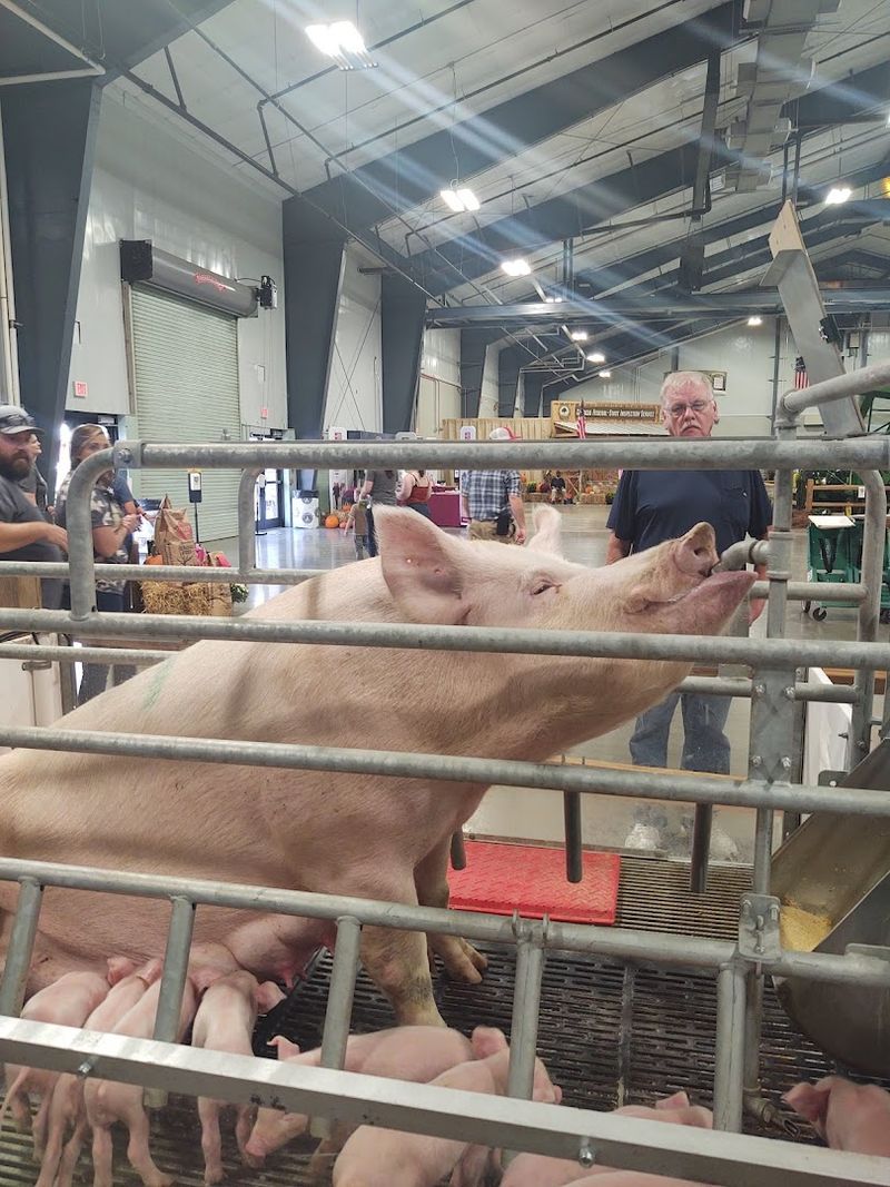 Free Entry To Explore Authentic Georgia Farm Exhibits