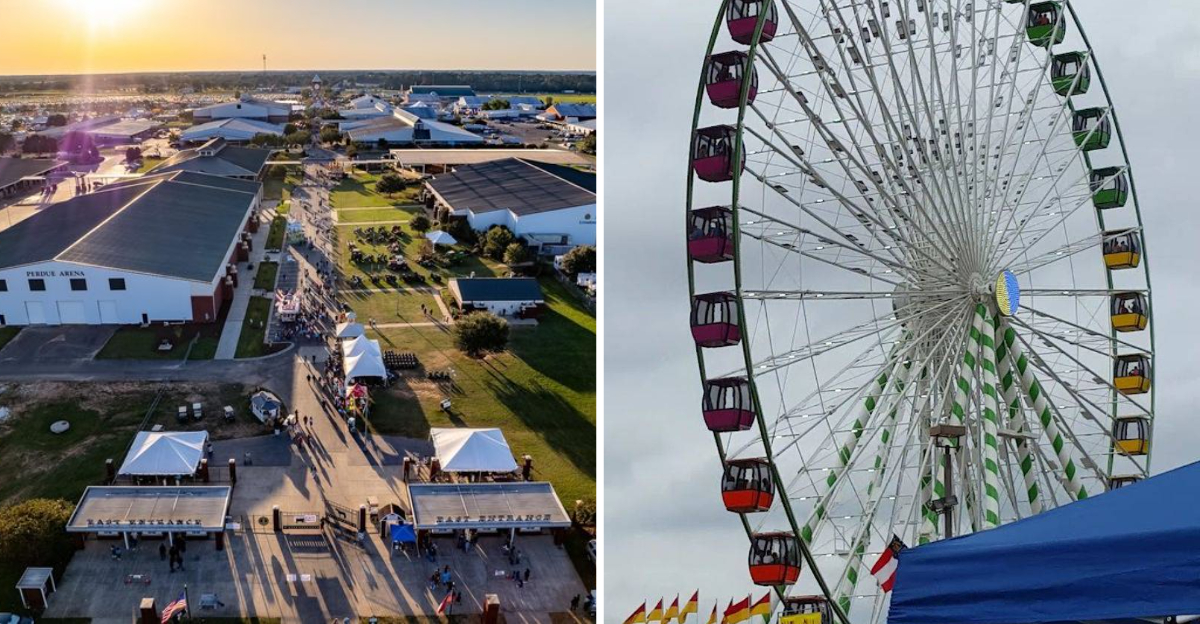 The Massive July Farm Exhibition In Perry Where You Can Experience Authentic Georgia Agriculture For Free - Decor Hint
