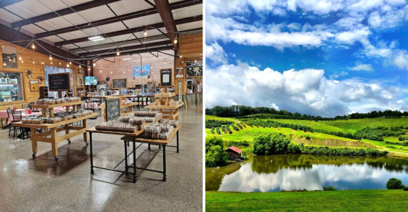 The Most Delicious Fried Pies In America Are Made Inside This Charming Orchard Café In Georgia
