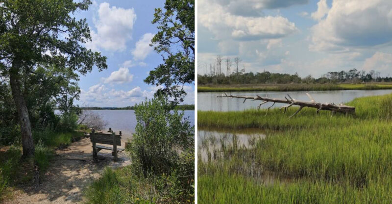 The Most Perfect Two-Bench View In North Carolina Feels Like A Secret Front-Row Seat To Nature