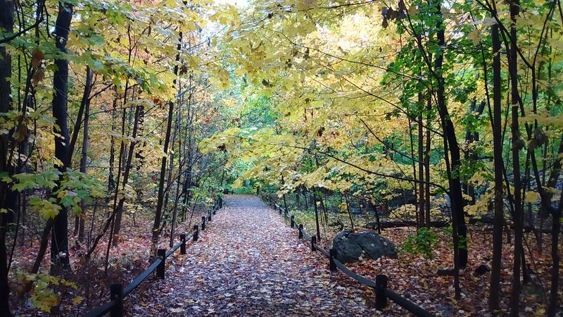 Trails That Follow Ancient Lenape Paths