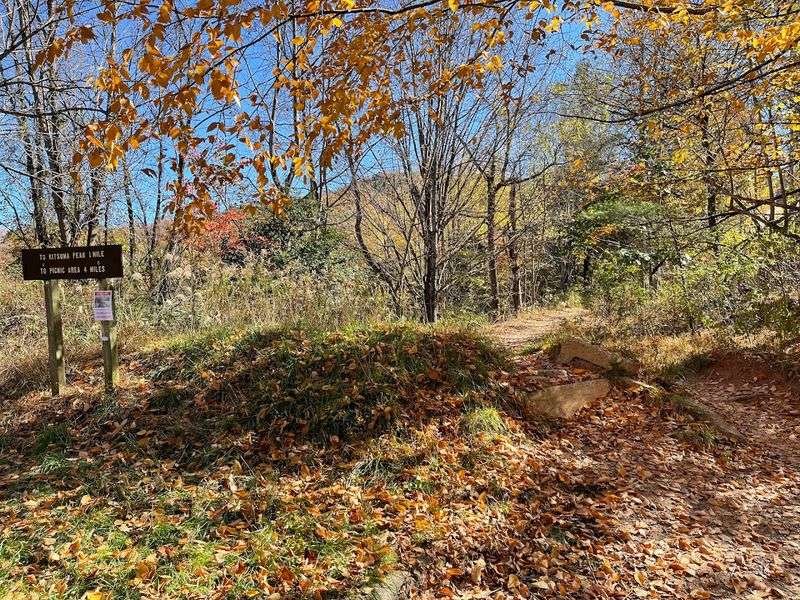 This North Carolina Trailhead Leads To A Mountain View Worth The Climb - Decor Hint Old Fort's Forested Trailhead Hides A Serious Payoff