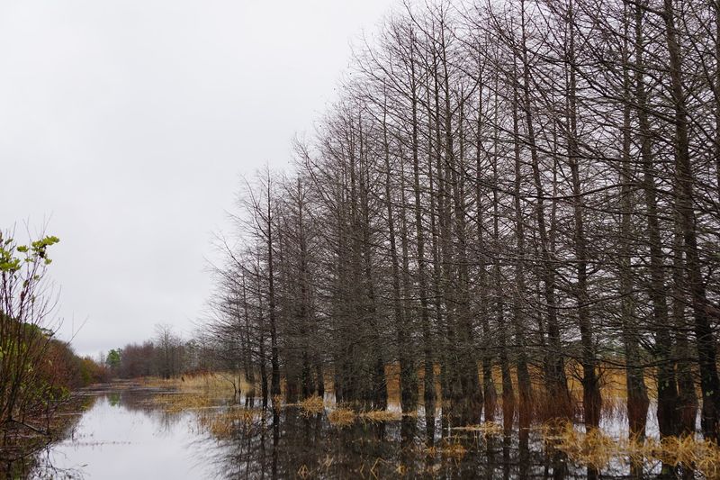 Seasonal Gates Make Planning Ahead Important