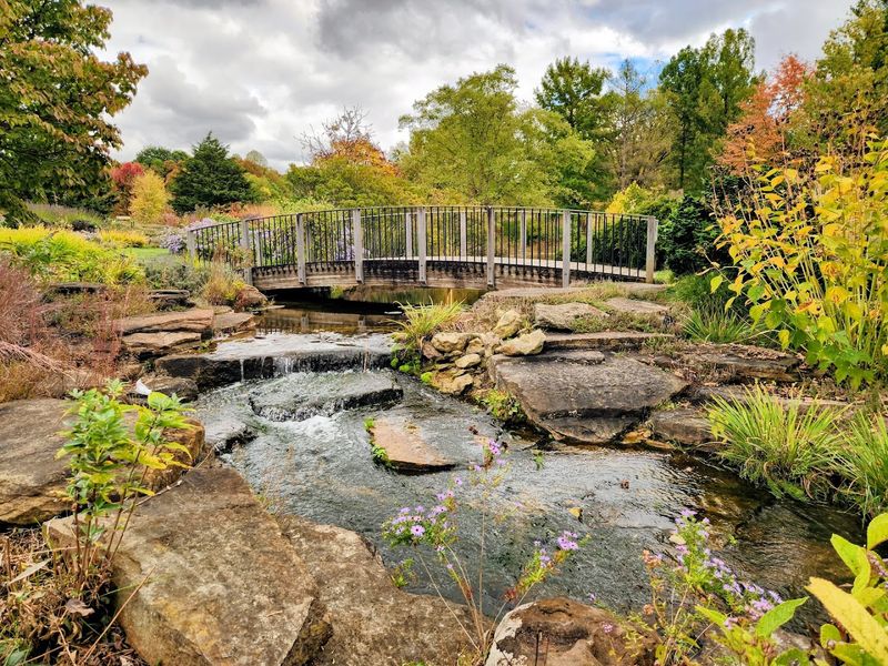 Educational Programs And Events Year-Round