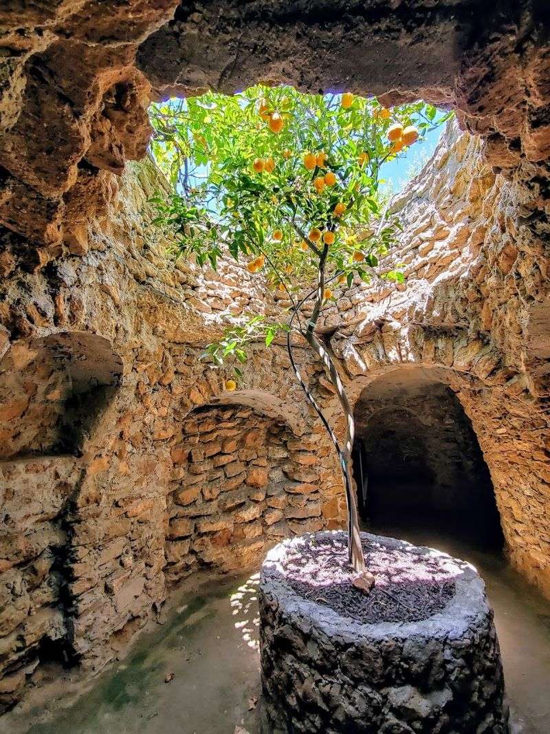 Forestiere Underground Gardens