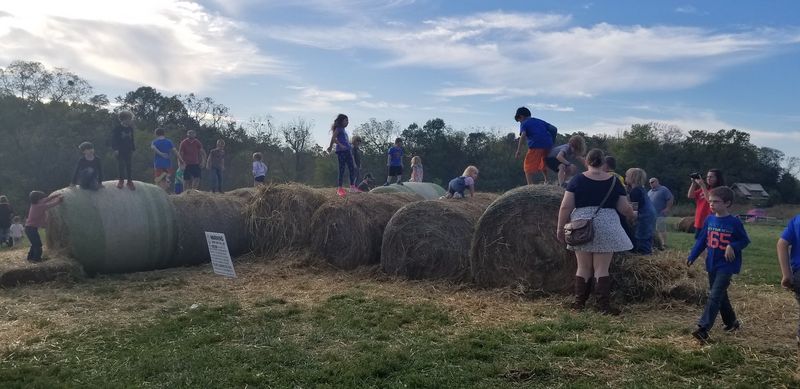 This Unassuming Kentucky Farm Is Quietly Leading A Revolution In American Agriculture - Decor Hint The U-Pick Pumpkin Patch