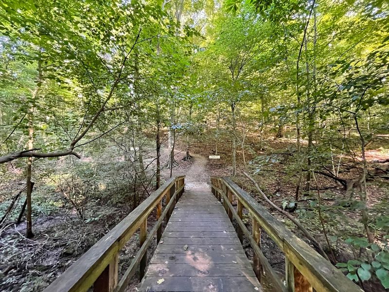 Cabins And Lodging Options For An Extended Kentucky Getaway