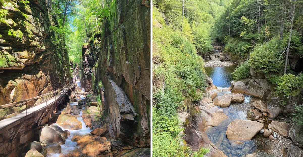 The New Hampshire Boardwalk That Takes You Deep Inside The Mountains - Decor Hint