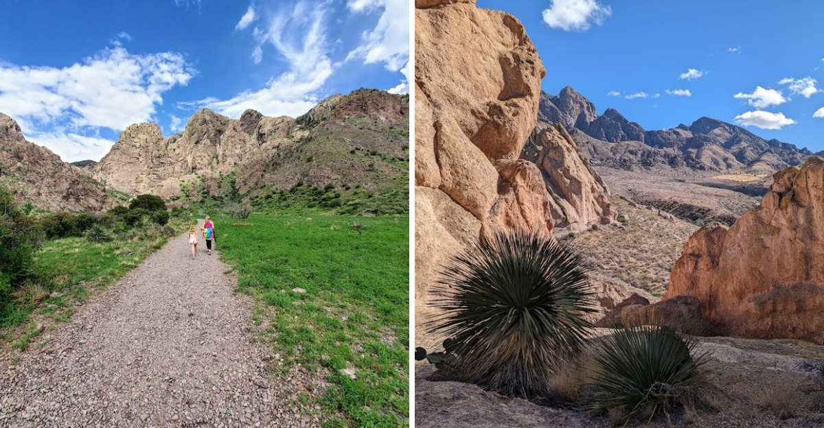 The New Mexico Hike Where A Desert Spring And Forgotten Ruins Wait At The End - Decor Hint
