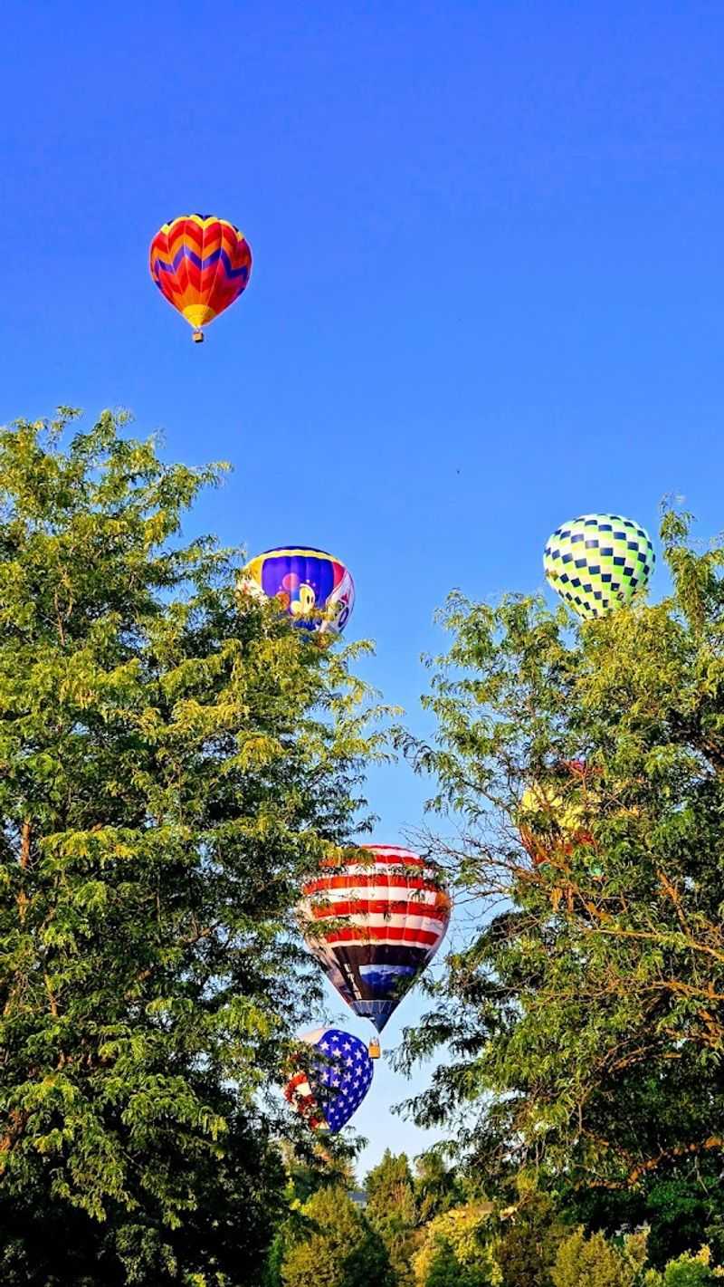 This Idaho Balloon Festival Fills The Boise Sky With Color In The Most Magical Way - Decor Hint Weather Keeps Every Launch A Little Suspenseful