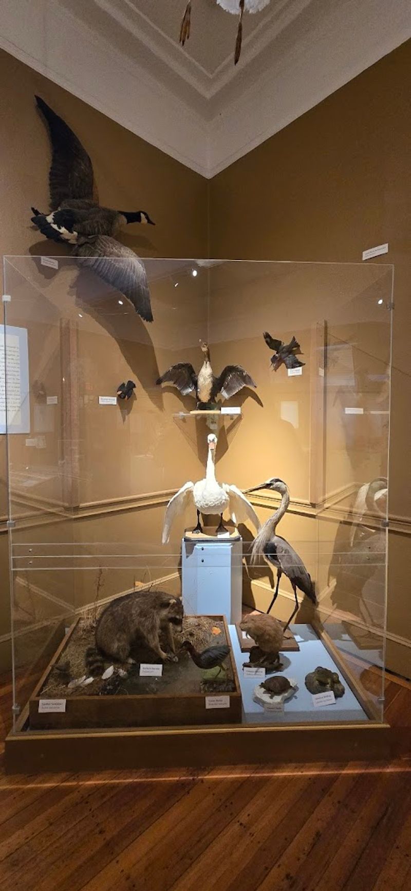 Rhode Island Is Home To A Museum That Feels Like Two Worlds In One - Decor Hint The Live Bee Hive Moment