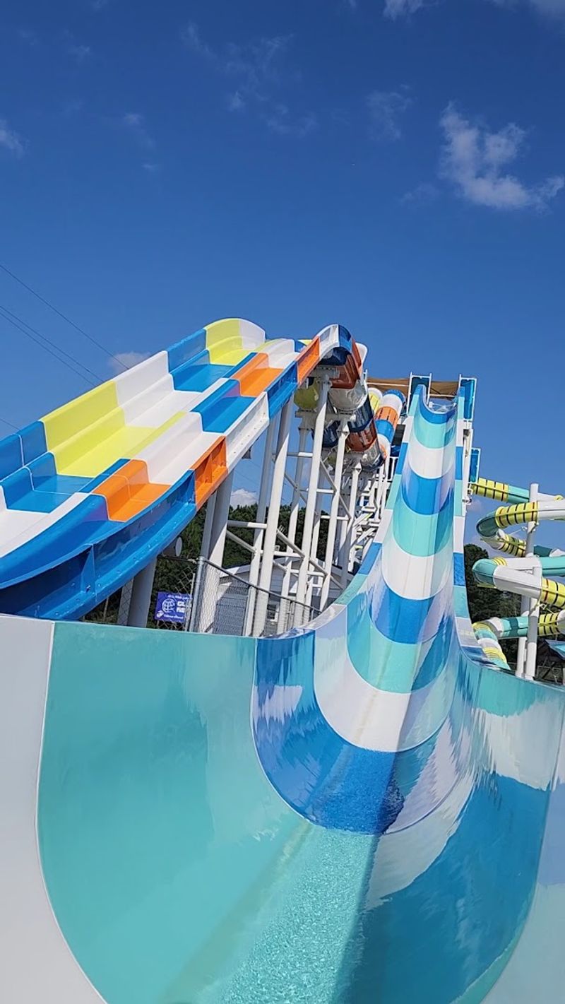 Race Down The Slides Like Summer Never Grew Up