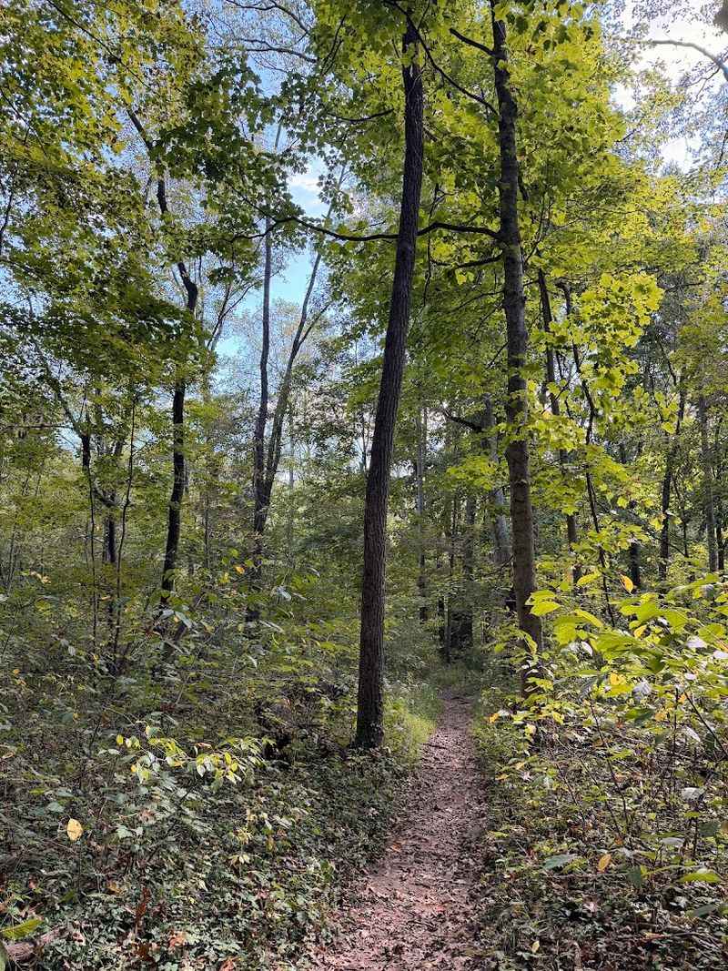 This Unassuming Kentucky Farm Is Quietly Leading A Revolution In American Agriculture - Decor Hint The Nature And Hiking Trails