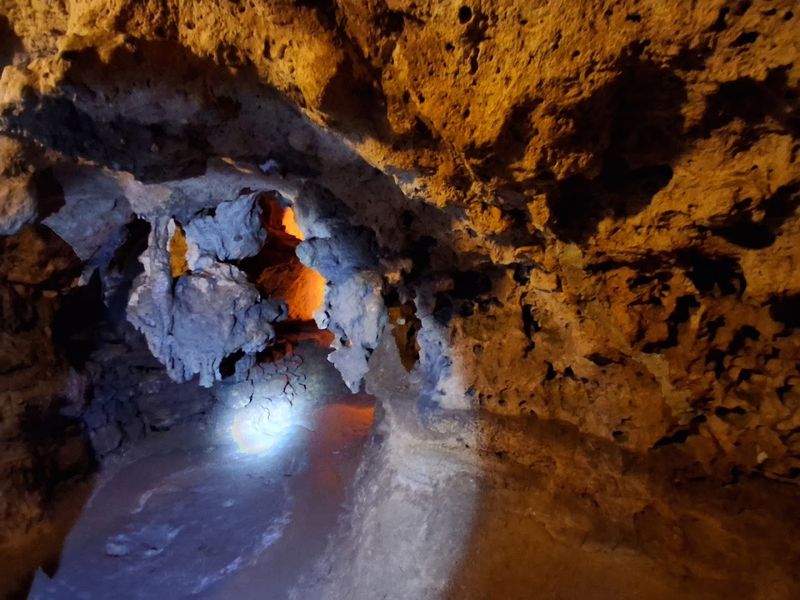 Beneath This Beloved Florida State Park Lies A Remarkable Underground Wonder - Decor Hint Limestone Formed 38 Million Years Ago