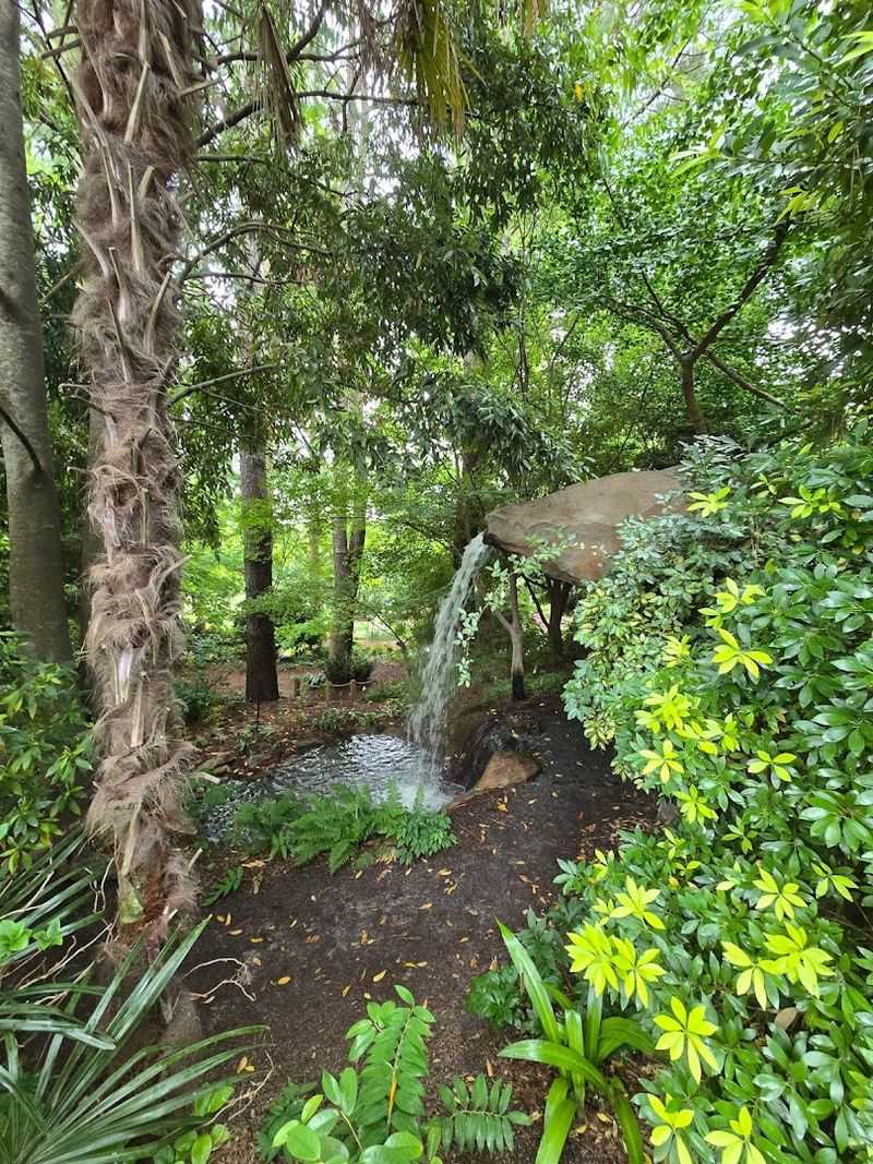Unexpected Textures Turn The Garden Into A Living Gallery