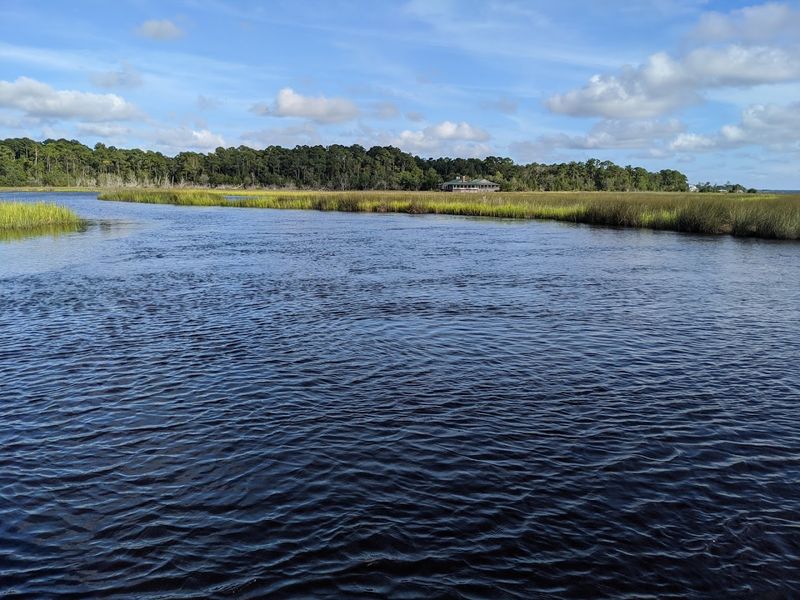 Kayaking And Paddling Through Georgia's Coastal Marshlands