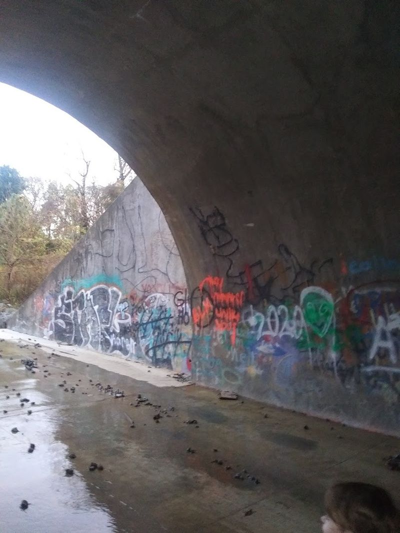 The Mysterious Bridge In North Carolina You Shouldn't Visit After Dark - Decor Hint Graffiti And Overgrowth Add To The Eerie Roadside Mood