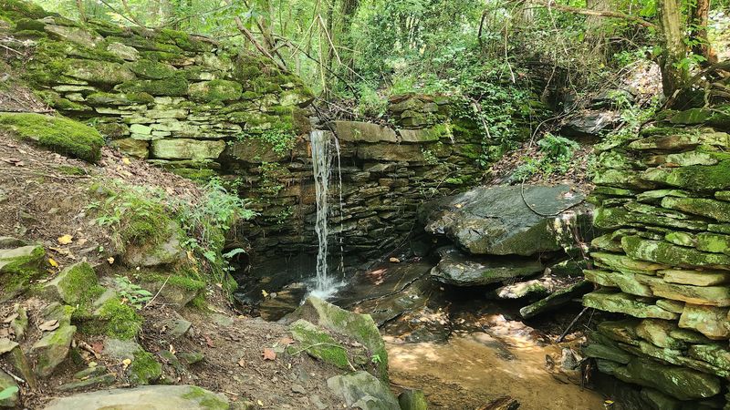 The Georgia Mountain Bike Trail That Feels Like Traveling Back In Time - Decor Hint A Trail System That Welcomes Mountain Bikers And Hikers Equally