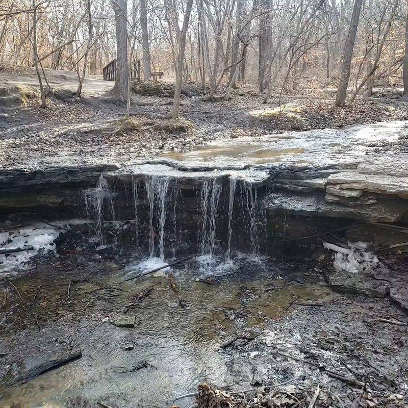 The Woodland Waterfall That Stops You Mid-Trail