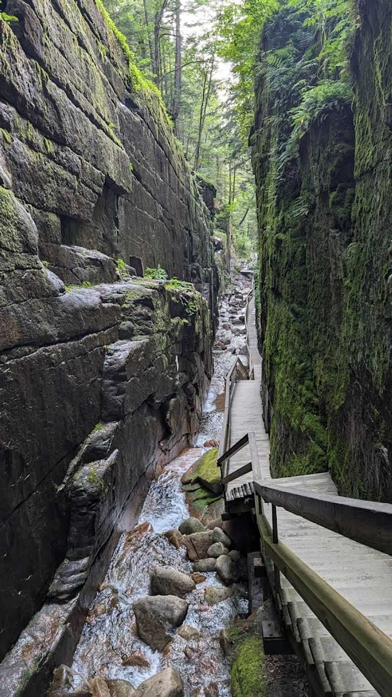 Wolf's Den Brings Out Everyone's Inner Explorer
