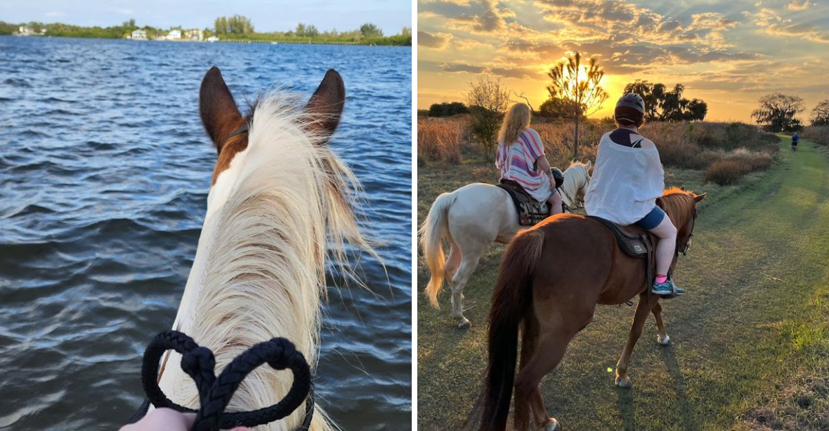 The Peaceful Florida Ranches Where Horseback Riding Feels Easy Scenic And Unforgettable - Decor Hint