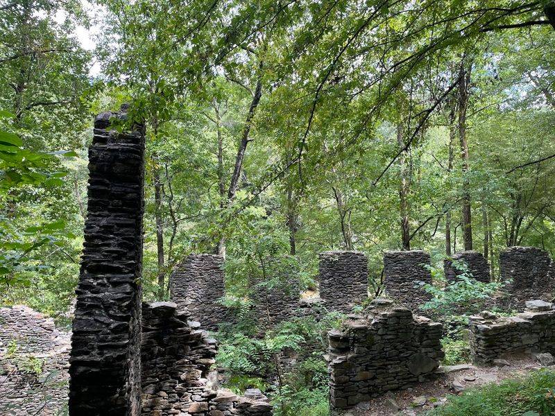 The Georgia Mountain Bike Trail That Feels Like Traveling Back In Time - Decor Hint Dense Tree Canopy That Keeps Rides Cool And Comfortable