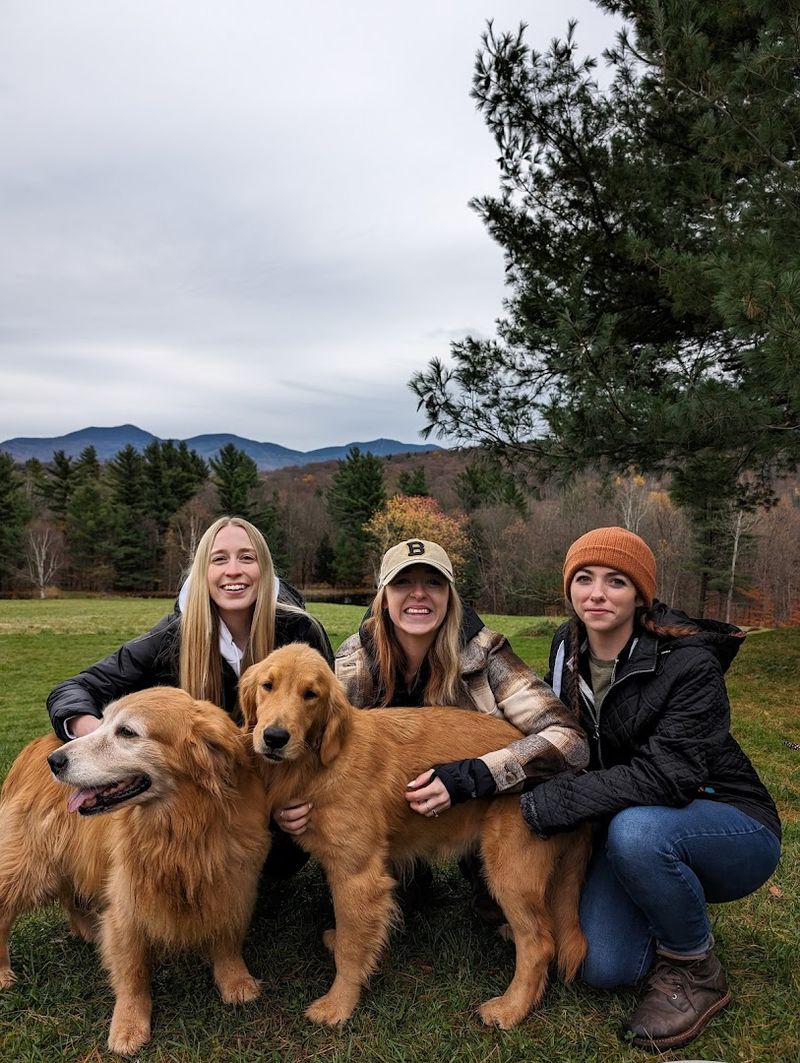 The Golden Retriever Personality You Need To Experience In Person