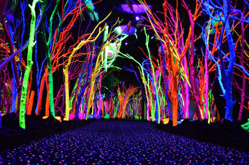 The Alien Forest Room