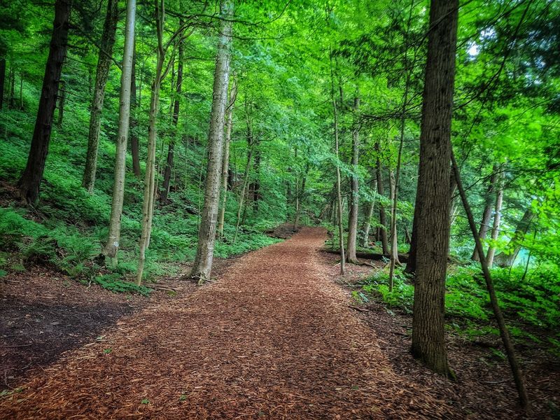 The Hiking Trails That Reward The Effort