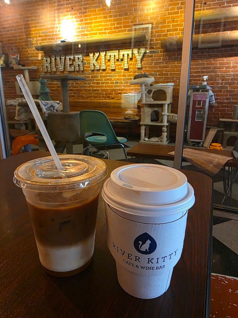River Kitty Cat Cafe