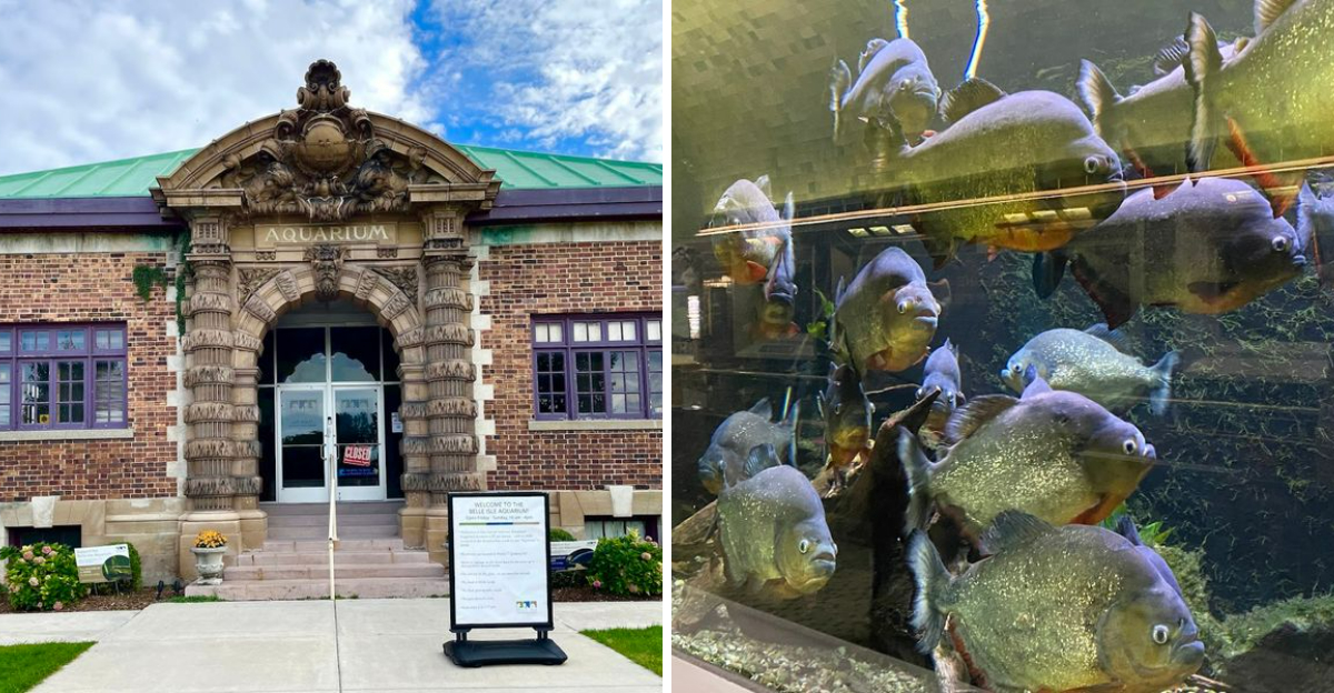 The Remarkable Underwater Attraction In Michigan That Visitors Cant Stop Talking About - Decor Hint
